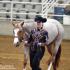 Volunteer Pinto Horse Show